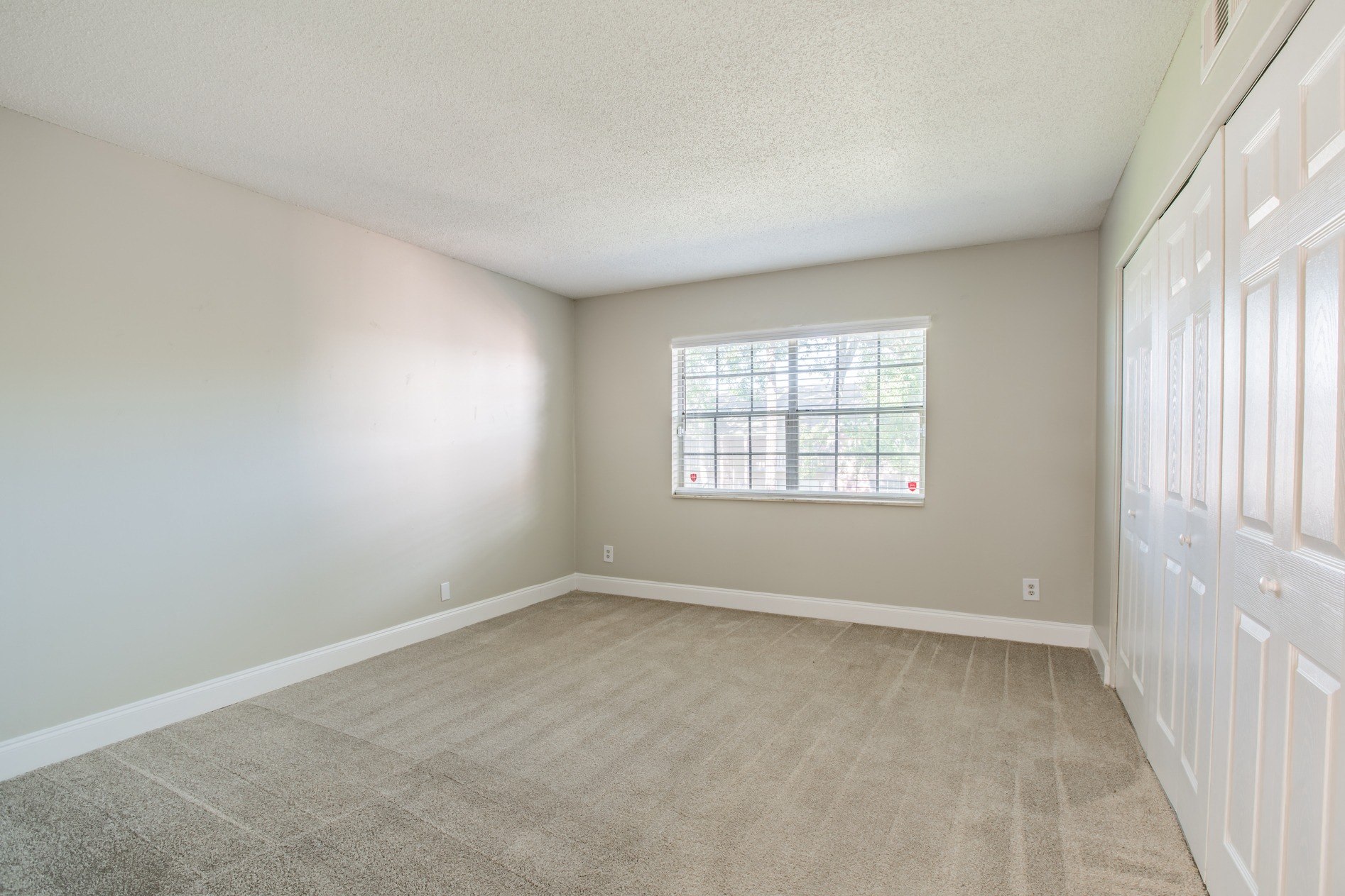 Gallery Photo 13